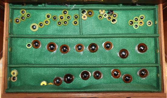 A collectors chest containing various eyes